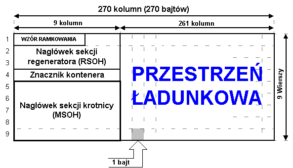 Moduł STM-1
